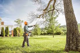 Best Lawn Pest Prevention  in Merian, ID