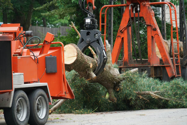 Best Lawn Irrigation Installation and Maintenance  in Merian, ID